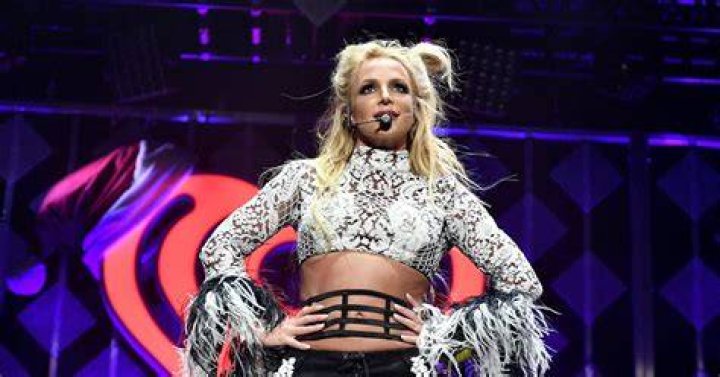 Britney Spears' Doberman 'gets loose and bites elderly man' Metro News