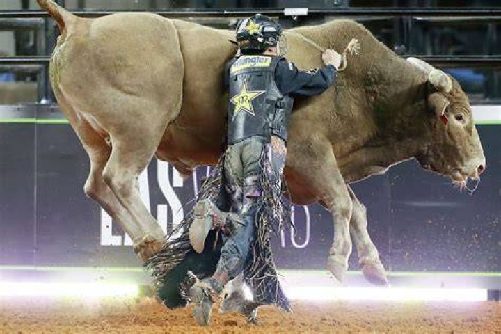 Bull rider killed in 'freak' accident' during competition