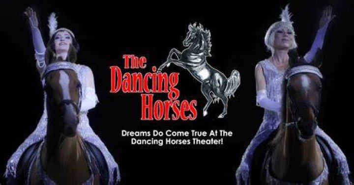 Dancing Horses Of Sybaris Ann Arbor District Library