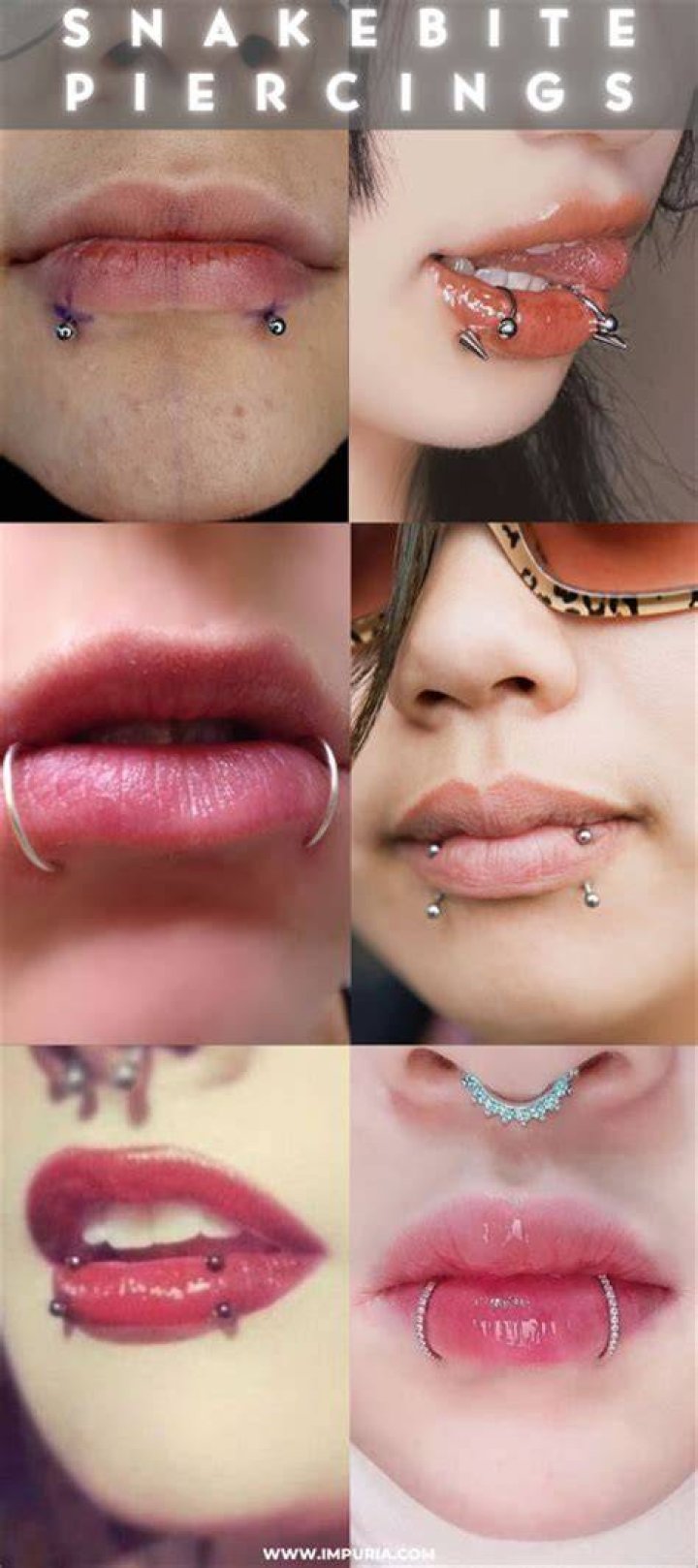 Unleashing The Edge: The Allure Of Snake Bite Piercings For Men