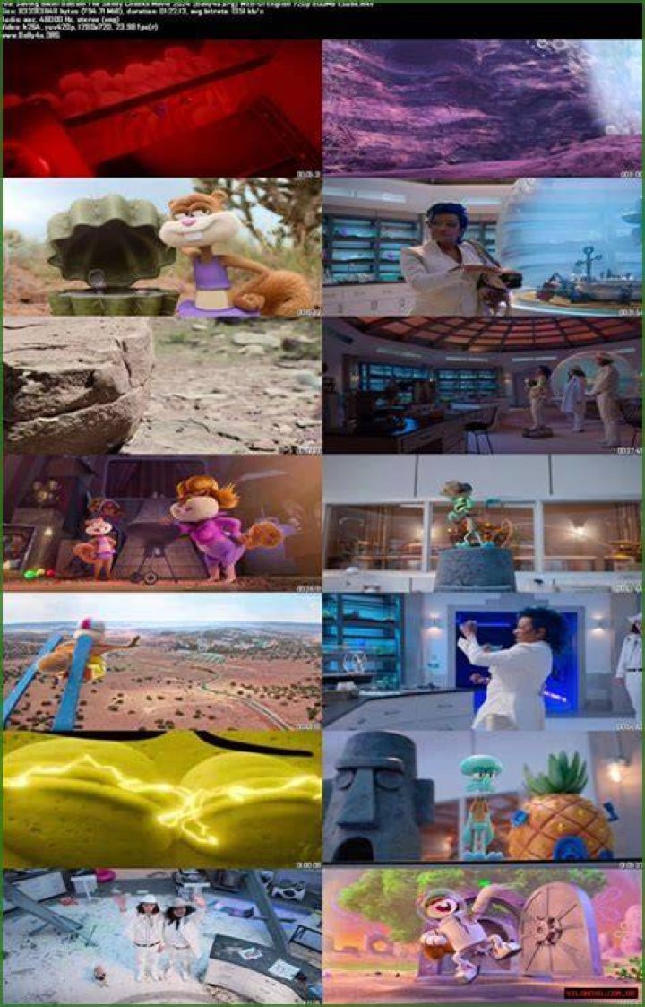 Unraveling The Mystery Behind Bobbie Leaked